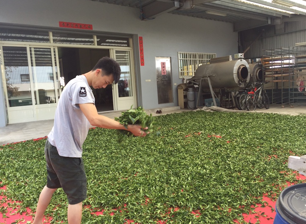 台湾茶生産